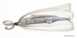 image of plastic_bag