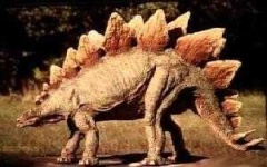 image of stegosaurus