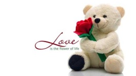 image of teddy_bear
