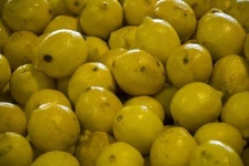 image of lemon #28