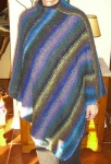 image of poncho