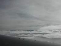 image of wing