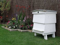image of apiary