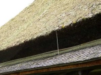 image of thatch