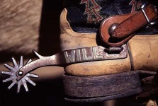 image of cowboy_boot #5