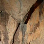 image of material