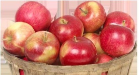 image of apple