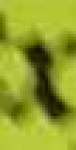 image of char