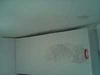 image of bottle_50cl