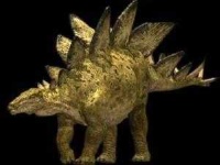 image of stegosaurus