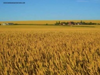 image of prairie