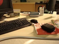 image of mouse