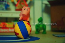 image of piggy_bank #17