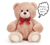 image of teddy_bear