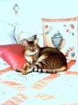 image of animal