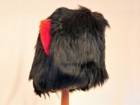 image of bearskin