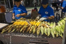 image of corn