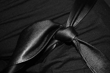 image of knot