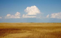 image of prairie