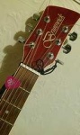 image of pick