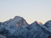 image of alp