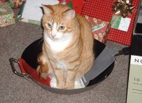 image of wok