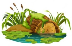 image of swamp