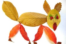 image of leaf