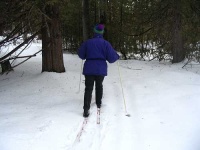image of ski