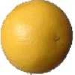 image of fruit