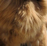 image of texture