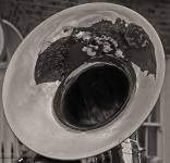 image of french_horn