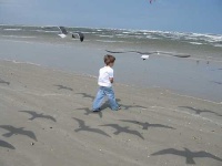 image of sandbar