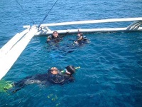 image of scuba_diver