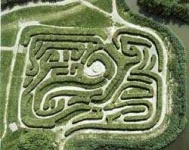 image of maze