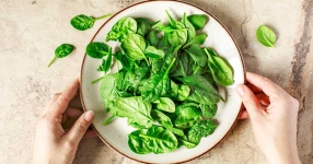 image of spinach #27