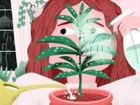 image of house_plant