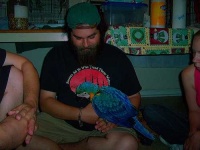 image of macaw