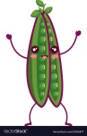 image of string_bean #1