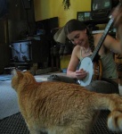 image of banjo