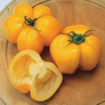 image of tomato #24