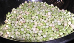 image of fruit_and_vegetable