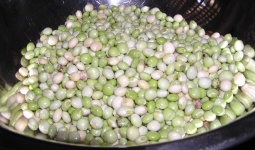 image of peas #13