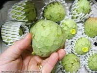 image of custard_apple #18