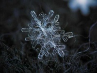 image of snowflake