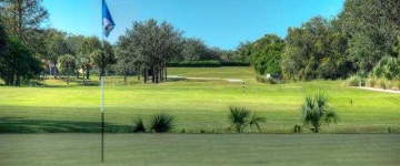 image of golf_club