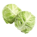 image of cabbage