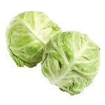 cabbage