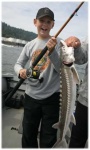 image of sturgeon