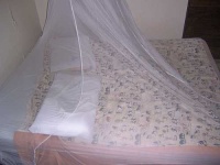 image of mosquito_net